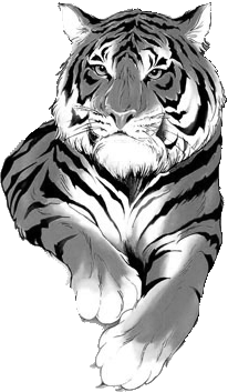 tigr003bw8